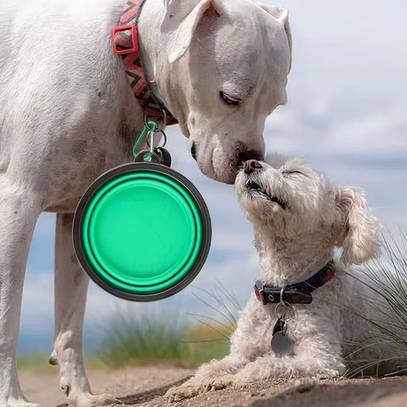 Collapsible Dog Bowls